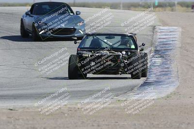 media/Oct-21-2023-Speed Ventures (Sat) [[ddf75163c5]]/Yellow/Grapevine/